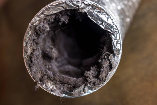 Best Professional Duct Cleaning Services  in Crystal Lawns, IL