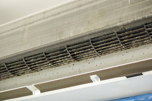 Best Affordable Duct Cleaning Services  in Crystal Lawns, IL